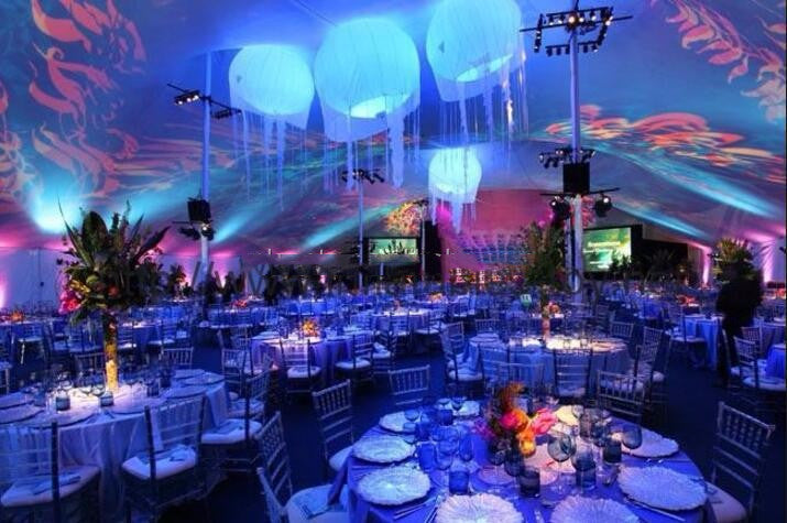 3.3 * 8.3FT colorful inflatable jellyfish Lamp with 16 Colors LED Lighting for event, party, club decoration(3Pcs)